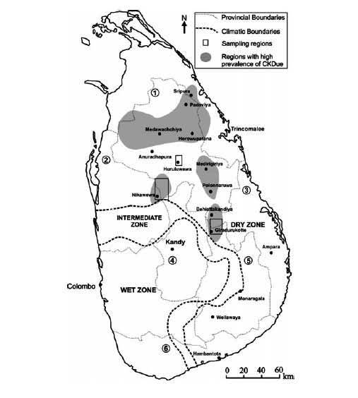 Map showing distribution of CKDu in Sri Lanka. Source - Journal of Agricultural Sciences, Sri Lanka http://jas.sljol.info/articles/abstract/10.4038/jas.v10i2.8055/